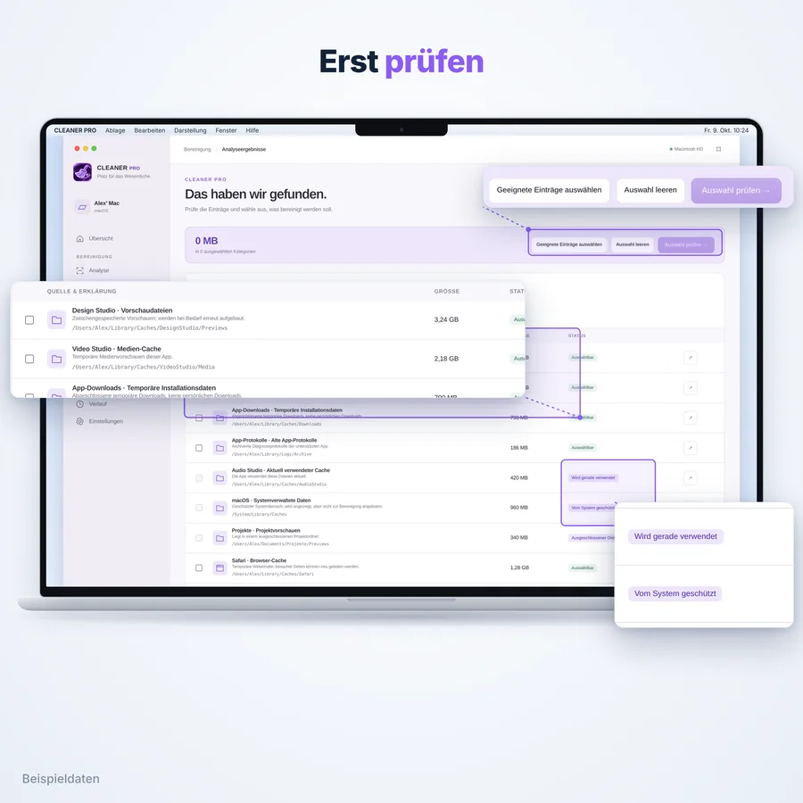 Cleaner Pro: Analyse-Ergebnisse (App-Ansicht mit Beispieldaten)