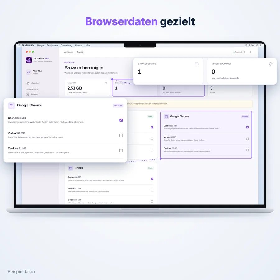 Cleaner Pro: Browserdaten (App-Ansicht mit Beispieldaten)