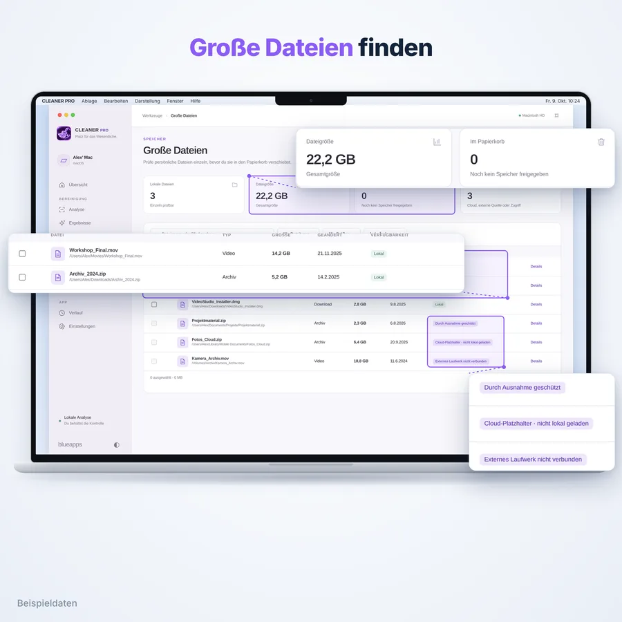 Cleaner Pro: Große Dateien (App-Ansicht mit Beispieldaten)